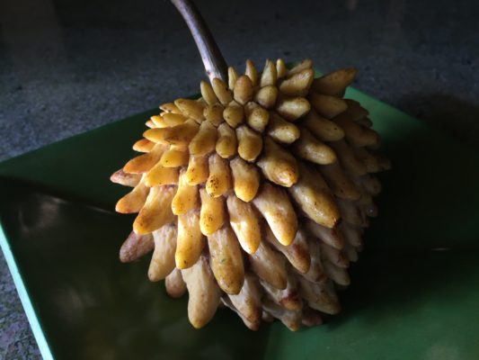 Biriba Fruit (Rollinia deliciosa)